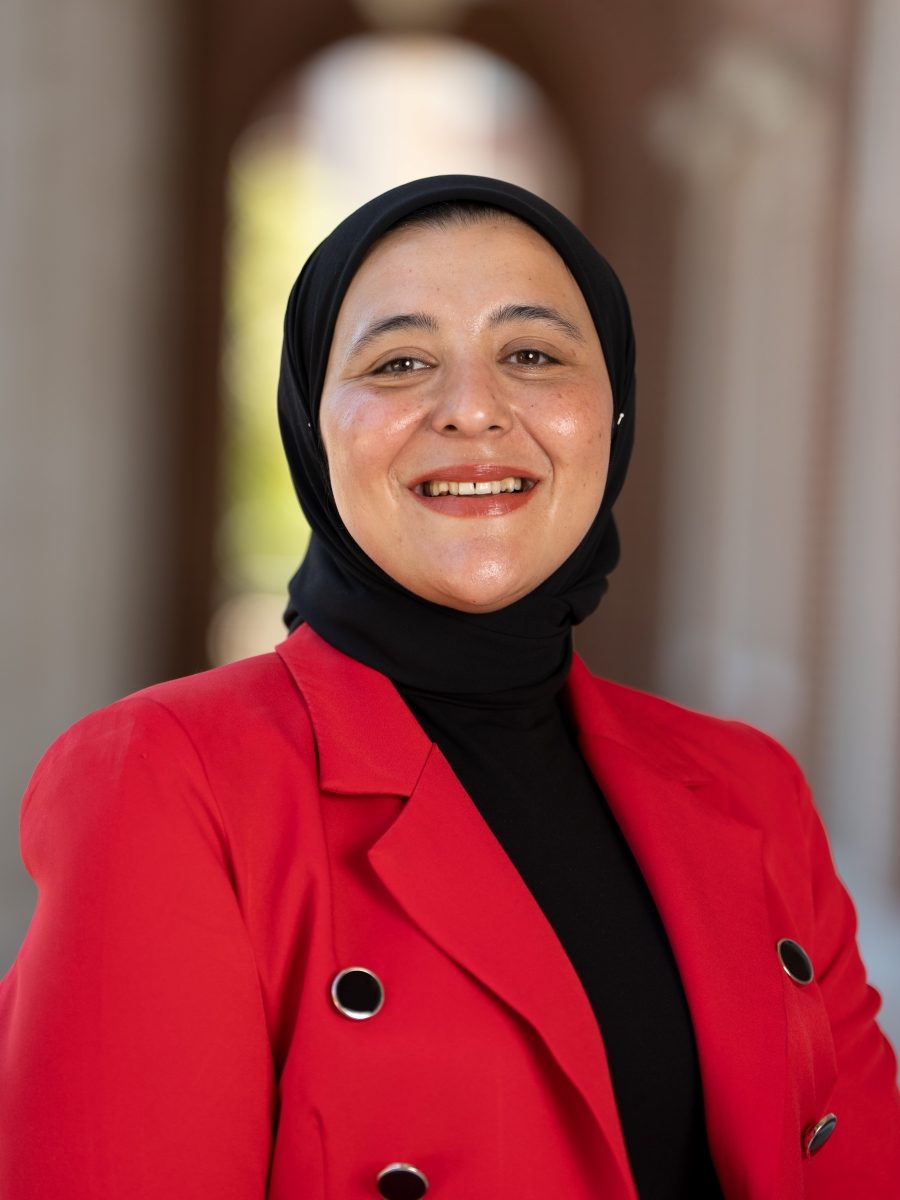 Humphreys Fellow Eman Elsokary